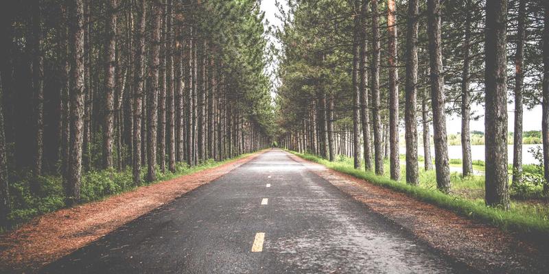 Sara Mangford78：在传统与数字艺术的交汇处构建独特作品集