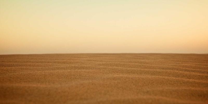 Sara Mangford:在传统与数字艺术的边界构建独特视觉档案