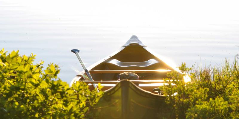 Sara Mangford:在传统艺术与当代设计中寻找创意平衡点