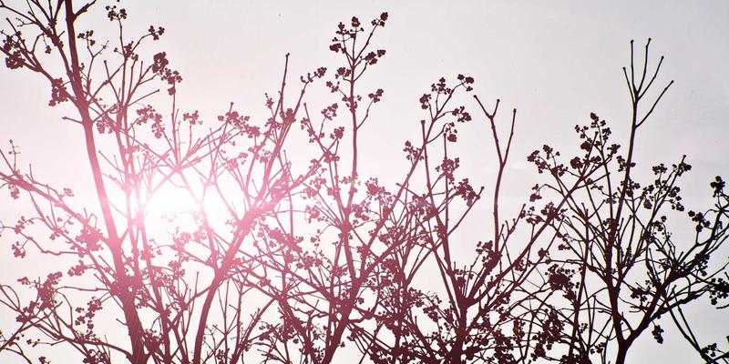 Sara Mangford:在数字与传统艺术的边界上重塑插画美学