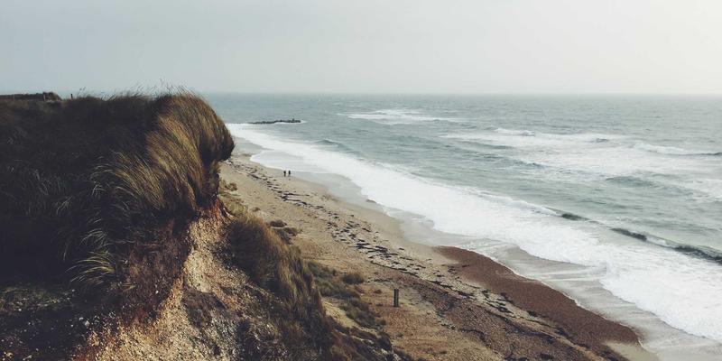 Sara Mangford:在数字时代重新发现传统艺术与插画的永恒魅力