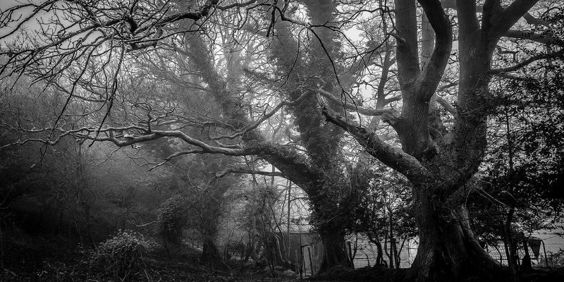 Sara Mangford:在暗黑美学中编织叙事,探索插画艺术的深邃之境