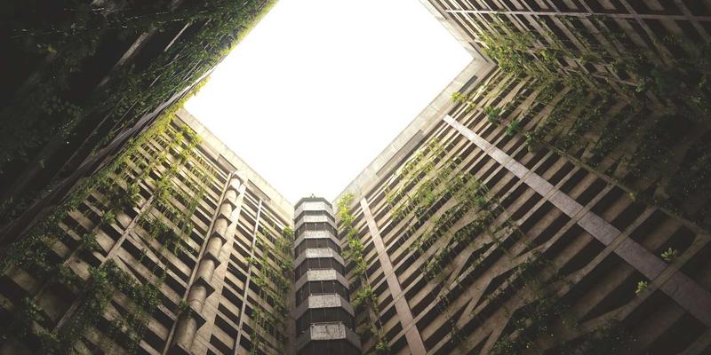 Sara Mangford：在艺术设计与插画的交汇处，编织叙事与情感的视觉诗人