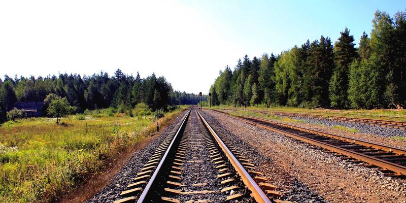 Sara Mangford:数字艺术与创意作品的沉浸式探索