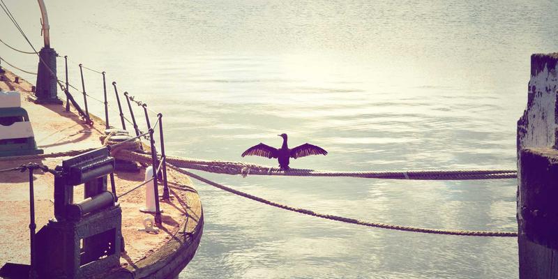 Sara Mangford的数字艺术策略：如何通过限量版与黑暗主题作品打造收藏价值