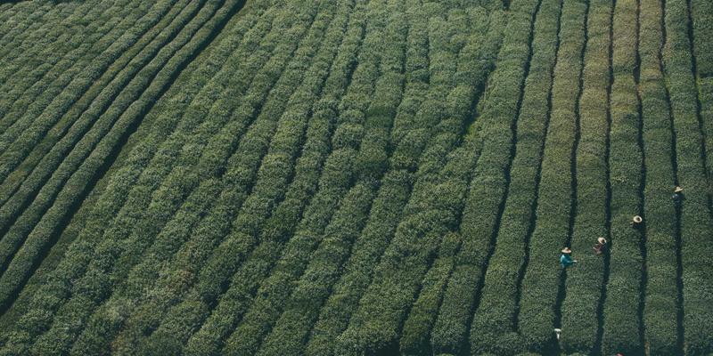 Sara Mangford的数字艺术蜕变：国际博览会如何重塑其创作轨迹与创意视野