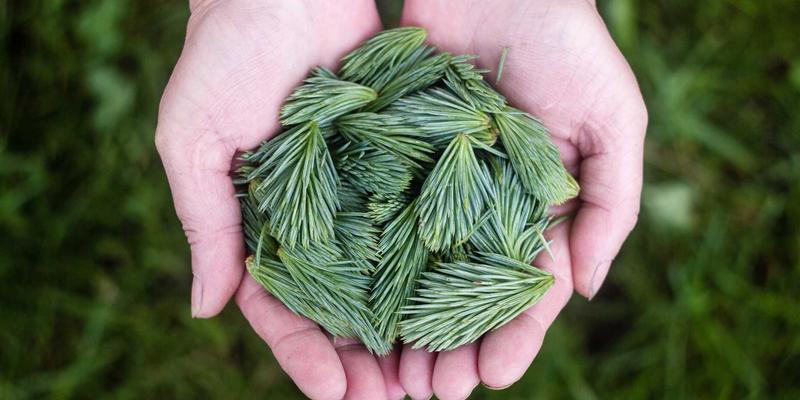 从Sara Mangford案例看数字艺术创作：插画与设计的商业融合之道