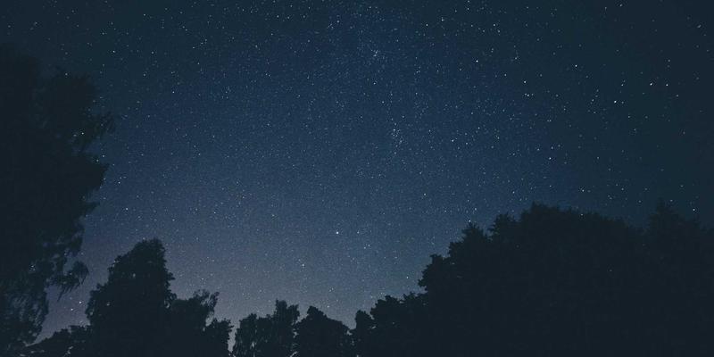 从Sara Mangford看暗黑奇幻插画定价策略：如何为你的Digital Art实现价值最大化