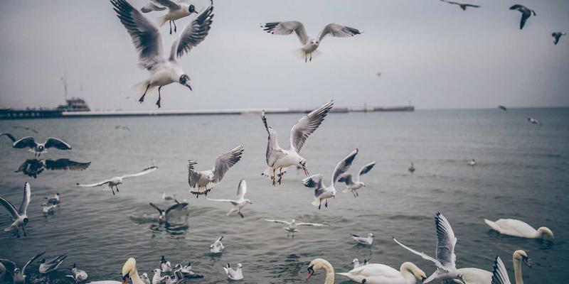 从Sara Mangford看艺术教育：如何构建成功的数字艺术作品集与自学路径