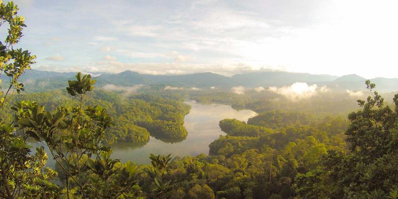 从年度挑战到风格蜕变：Sara Mangford如何通过个人项目构建独特的暗黑主题数字艺术作品集