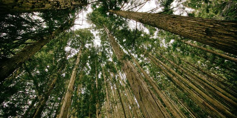 从画布到屏幕：Sara Mangford如何将传统艺术与数字艺术融合，在Instagram打造暗黑美学画廊