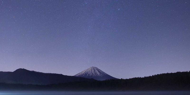 从画布到收件箱：Sara Mangford如何通过电子邮件营销构建数字艺术与传统插画的忠实社群