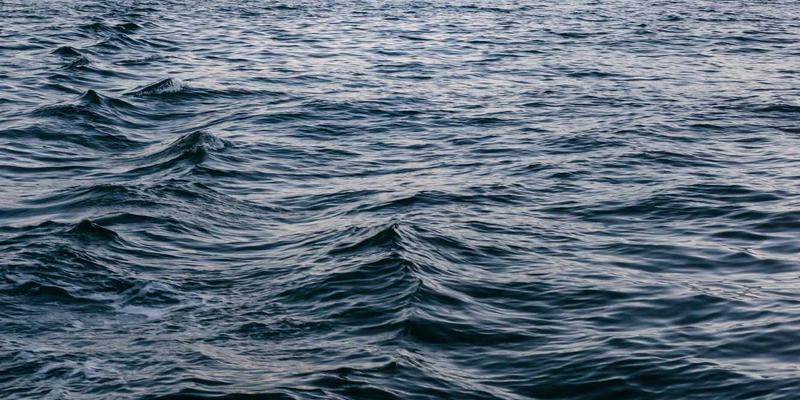 像Sara Mangford一样构建艺术设计灵感库：从传统艺术到自然历史的素材收集法