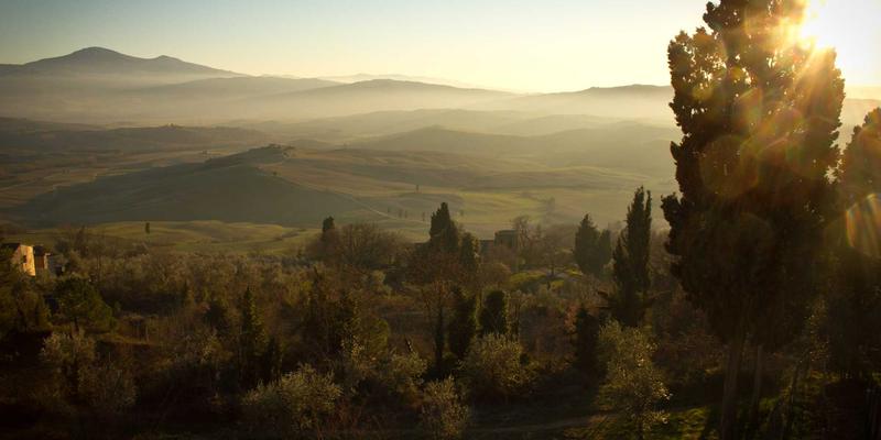 揭秘Sara Mangford插画创作流程：从灵感到高质量作品集的完整指南