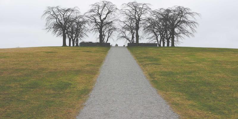 数字艺术与创意作品的视觉叙事：解码Sara Mangford的Instagram画廊策展思维