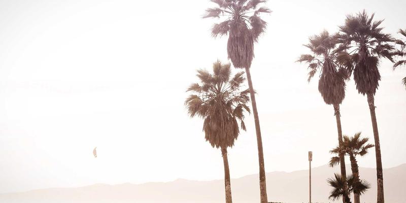 暗黑美学艺术新范式：Sara Mangford如何通过线下展览与线上画廊联动打造沉浸式艺术体验